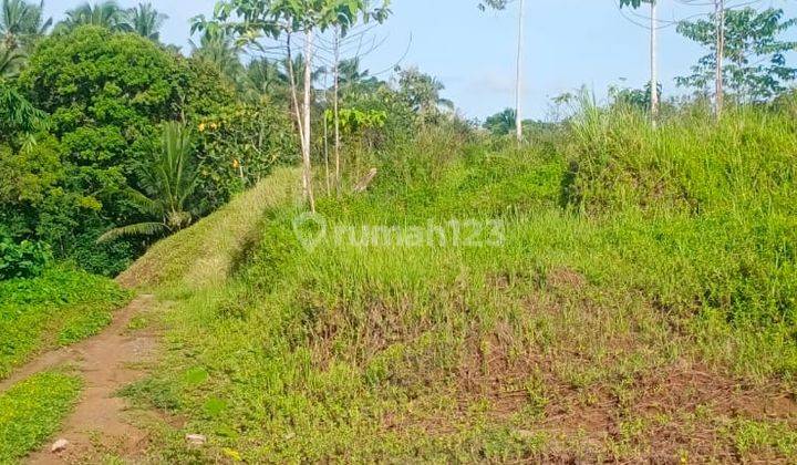 Hot List Di Jual Tanah Lokasi Gadungan Selemadeg Timur Tabanan 2