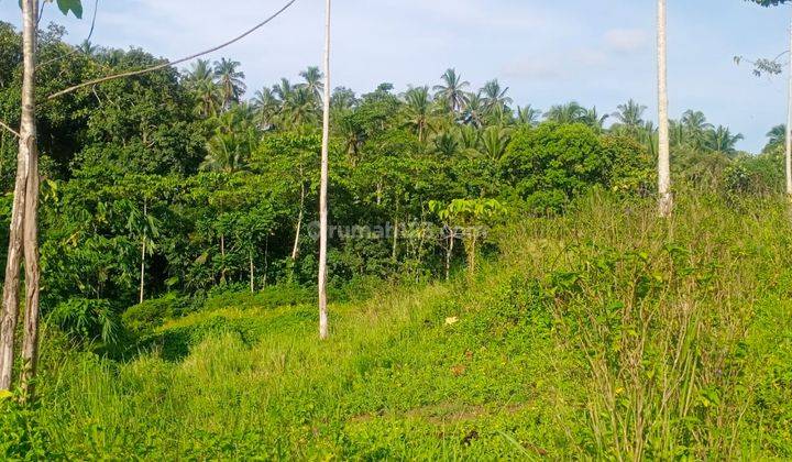 Hot List Di Jual Tanah Lokasi Gadungan Selemadeg Timur Tabanan 1