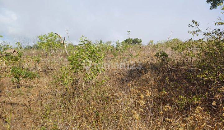 Hot List of Land for Sale, Tebing, Sea View, Nusa Penida Klungkung Location 2