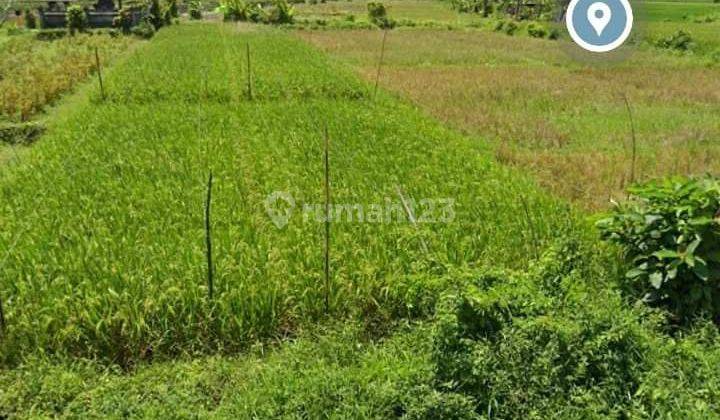 Hot List Land for sale on the outskirts of Main Street, Mengwitani Mengwi Badung  2