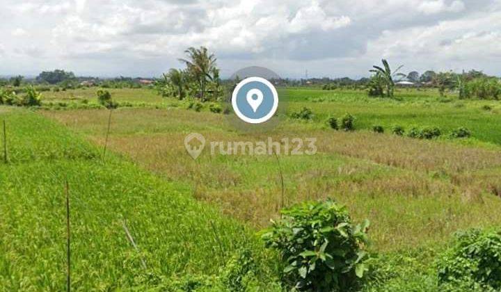 Hot List Land for sale on the outskirts of Main Street, Mengwitani Mengwi Badung  1