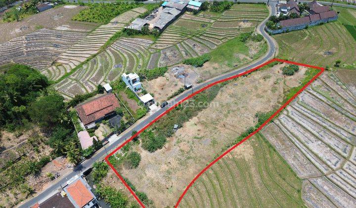 Hot List Di Jual Tanah View Sawah Lokasi Kaba Kaba Kediri Tabanan 1