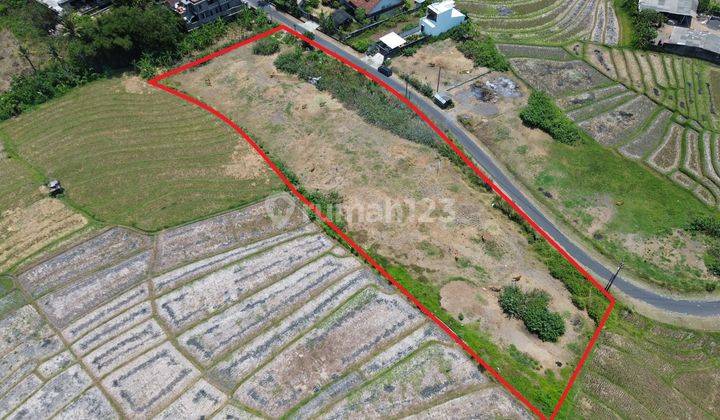 Hot List Di Jual Tanah View Sawah Lokasi Kaba Kaba Kediri Tabanan 2