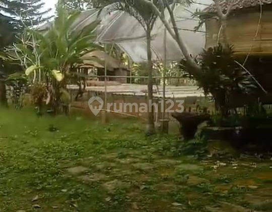 Hot List Di Jual Tanah Lokasi Sebatu Tegallalang Gianyar 2