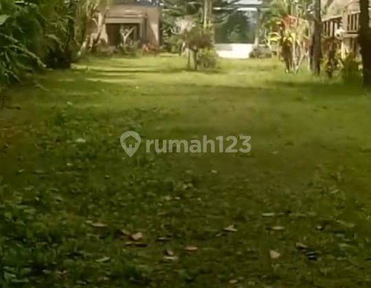 Hot List Di Jual Tanah Lokasi Sebatu Tegallalang Gianyar 1