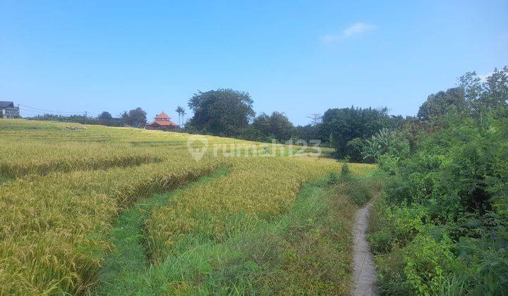 Hot List of Land for Sale with Rice Field View, Cemagi Umalalang Mengwi Badung Location 2