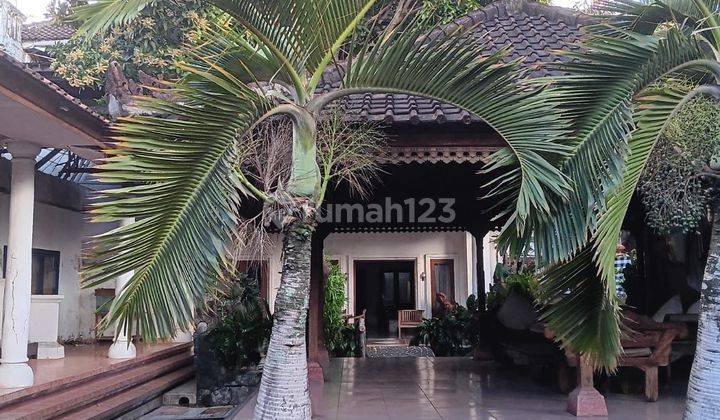 Hot List of Building Bonus Land for Sale in South Nangka, East Denpasar 1