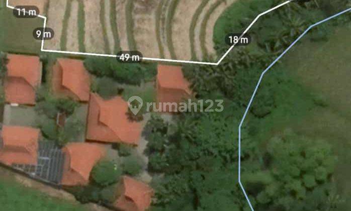 Hot List of Land for Sale Loss River View Sungai Sawah Location Kedungu Kediri Tabanan 1