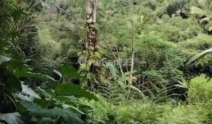 Hot List Di Jual Tanah Loss Sungai View Sungai Hutan Lokasi Sebatu Tegallalang Ubud 1