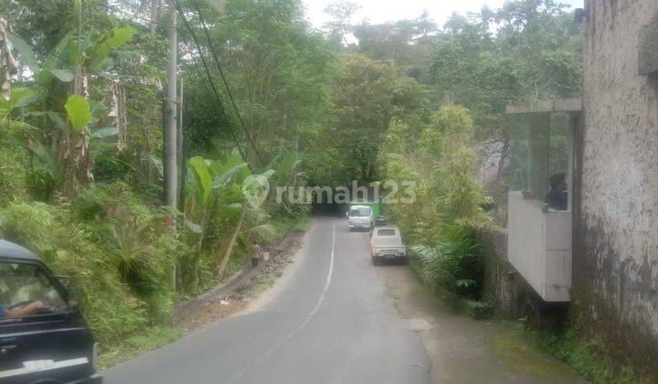 Hot List Land for sale in Payangan Ubud Gianyar 1