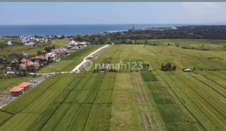 Hot List of Land for Sale Near Sea View Beach, Cemagi Mengwi Badung Location 1