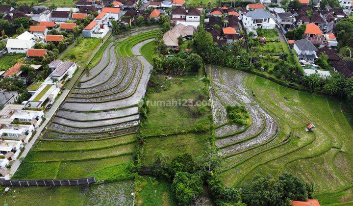 Hot List of Land for Sale in Umalas Kerobokan, North Kuta, Badung 1