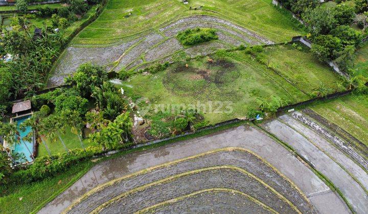 Hot List of Land for Sale in Umalas Kerobokan, North Kuta, Badung 2