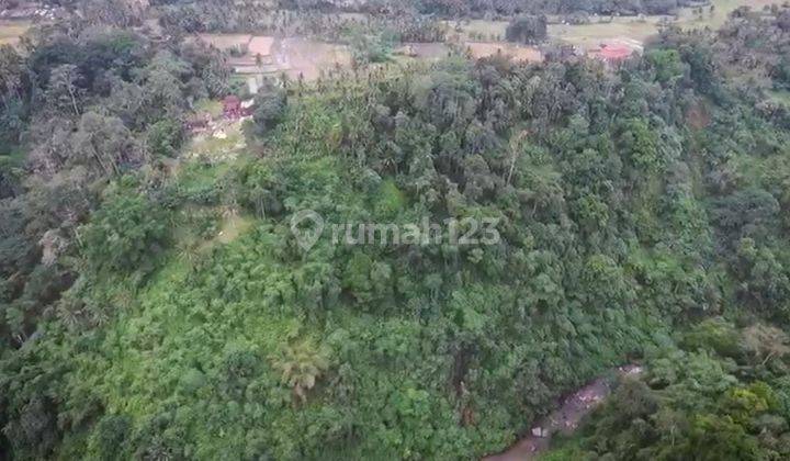 Hot List Di Jual Tanah Loss Sungai View Sungai Lokasi Melinggih Payangan Ubud Gianyar 1