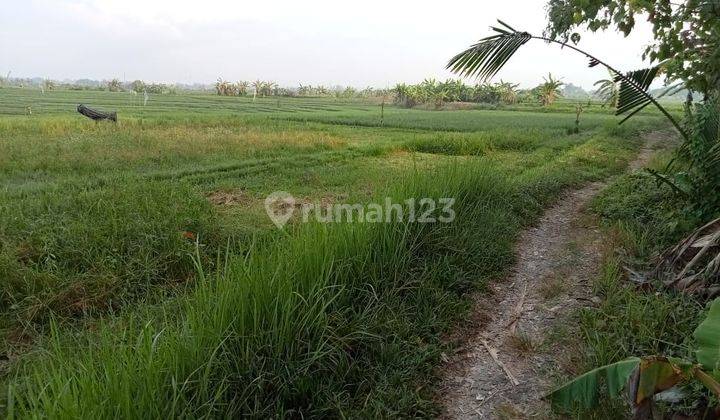 Hot List of Land for Sale Near Sea View Beach, Tibu Biu Kerambitan Tabanan Location 1