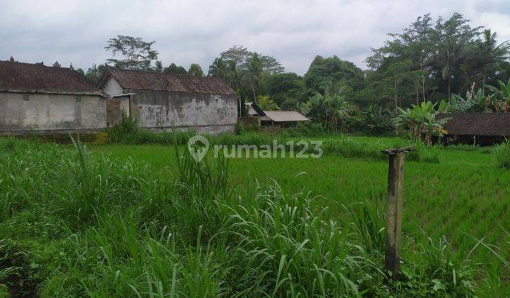 Hot List Di Jual Tanah Pinggir Jalan Utama View Sawah Sungai Lokasi Sangeh Abiansemal Badung 2