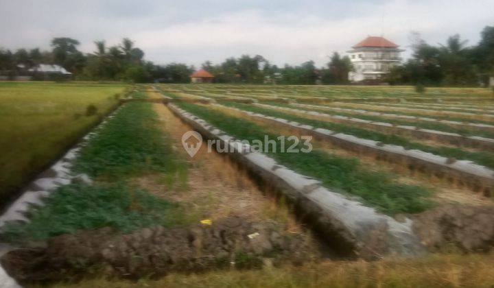 Hot List Di Jual Tanah Pinggir Jalan Utama Lokasi Nyambu Kaba Kaba Kediri Tabanan 2