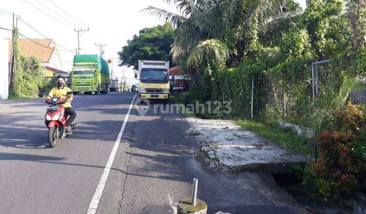 Hot List Di Jual Tanah Pinggir Jalan Utama Lokasi Muding Kerobokan Kuta Utara 2