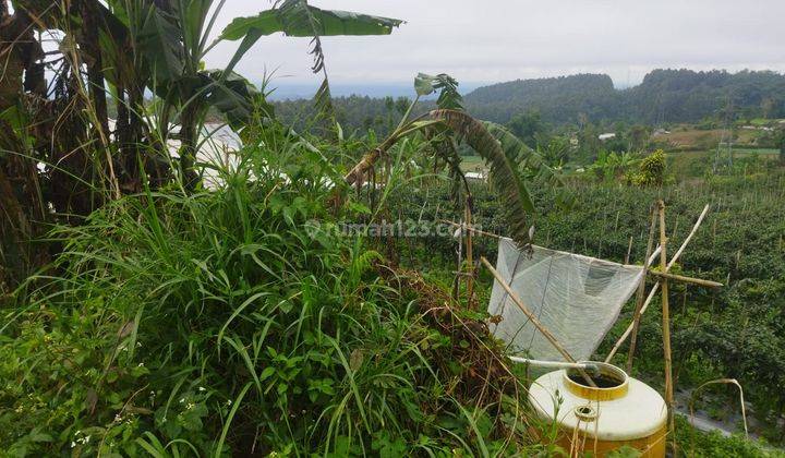 Hot List of Land for Sale in Candikuning Baturiti Tabanan Location 1