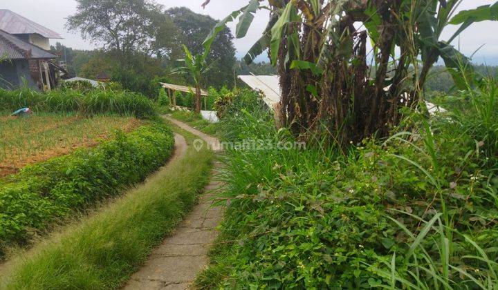 Hot List of Land for Sale in Candikuning Baturiti Tabanan Location 2