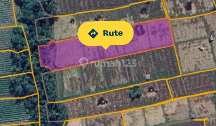 Hot List of Building Bonus Land for Sale at Ketewel Gianyar Location 1