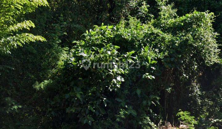 Hot List of Land for Sale on the Main Road, Siligita, Nusa Dua, South Kuta 1