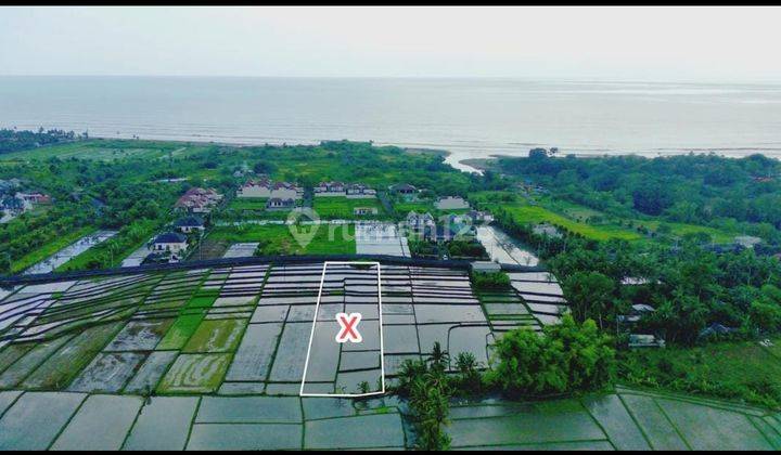 Hot List of Land for Sale Near Beach View Beach Location Kedungu Kediri Tabanan 2