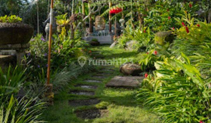 Hot List for Sale Villa View Mountain Valley Forest Location Ubud Gianyar 2