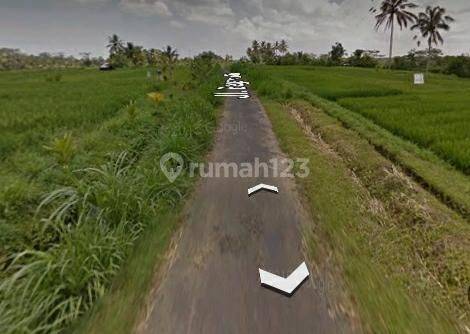 Hot List Land for sale in Payangan Ubud Gianyar 1