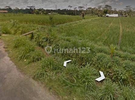 Hot List Land for sale in Payangan Ubud Gianyar 2