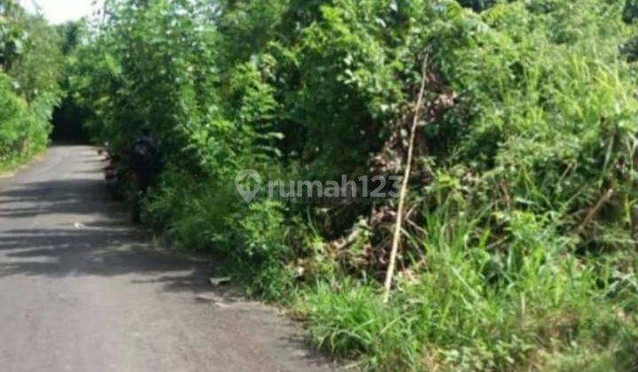 Hot List of land for sale in Uluwatu, South Kuta, Badung 1