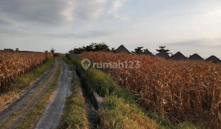 Hot List Di Jual Tanah Lokasi Klecung Tegal Mengkeb Selemadeg Timur Tabanan 2