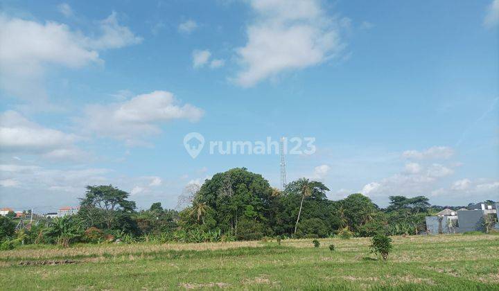 Hot List Land for sale in Sanyyi Beraban Kediri Tabanan 2