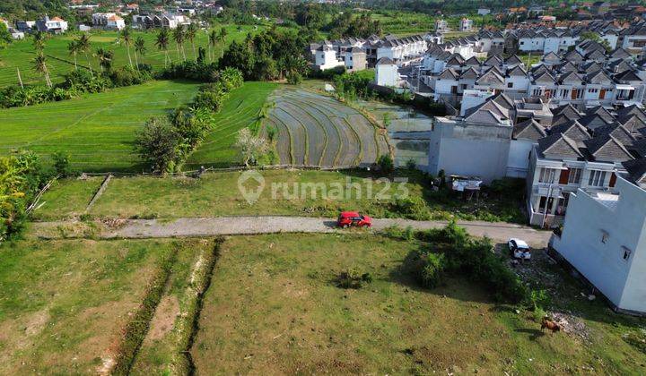 Hot List Di Jual Tanah View Sawah Lokasi Cepaka Kediri Tabana 2