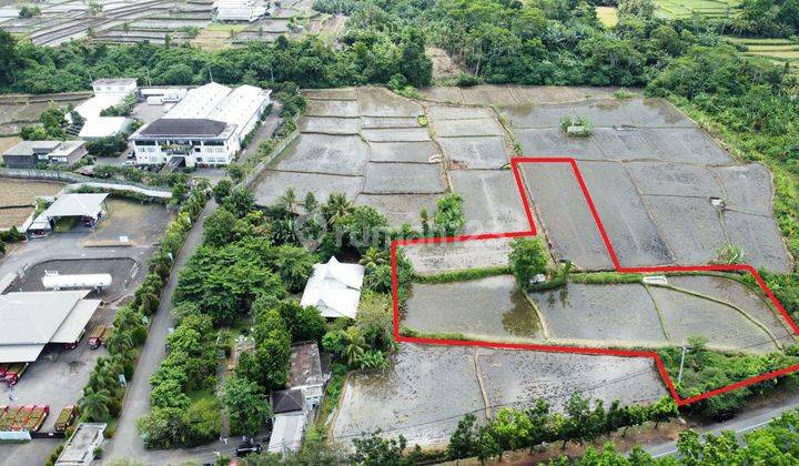 Hot List Di Jual Tanah View Laut Pinggir Jalan Utama Lokasi Bypass Ida Bagus Mantra Keramas Gianyar 1