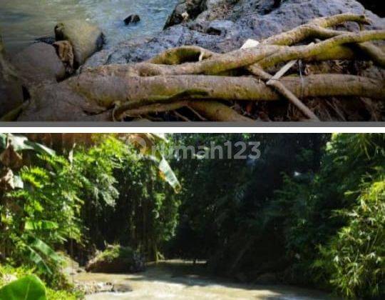 Hot List Di Jual Tanah View Sawah Air Terjun Lokasi Bengkel Kediri Tabanan 2