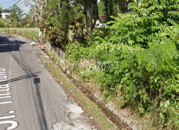 Hot List Di Jual Tanah Lokasi Jalan Tirta Tawar Petulu Ubud Gianyar 2