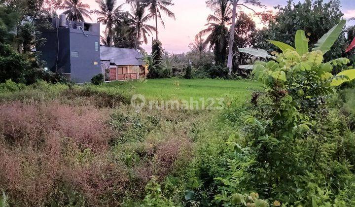 Hot List Di Jual Tanah Lokasi Jalan Tirta Tawar Petulu Ubud Gianyar 1