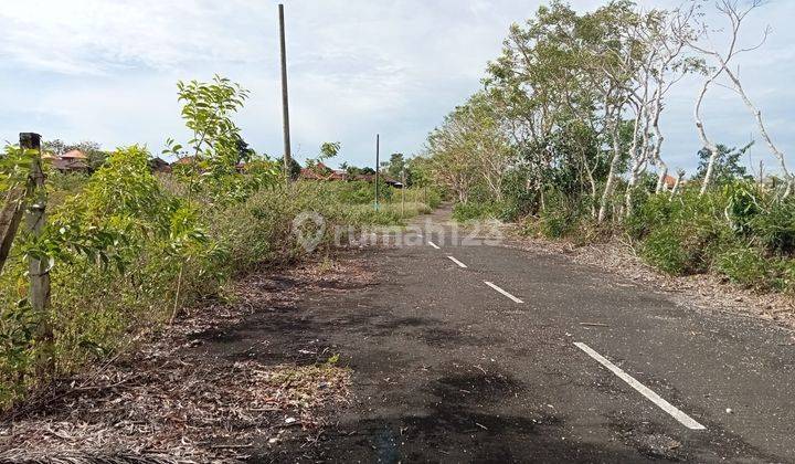 Hot List of Land for Sale with Sea View, Jalan Tundun Turtle, Ungasan, South Kuta, Badung 2