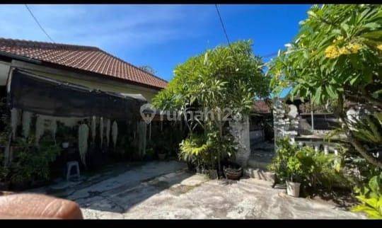 Hot List Di Jual Kost Lokasi Jalan Drupadi Renon Denpasar Selatan 1