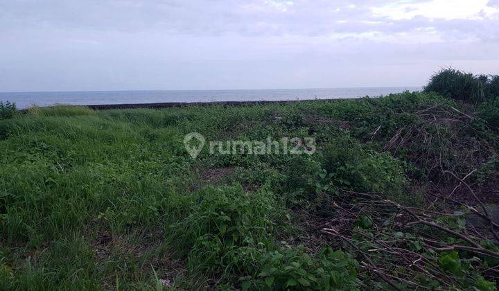 Hot List Di Jual Tanah Loss Pantai Purnama View Laut Lokasi Dekat Ketewel Sukawati Gianyar 1