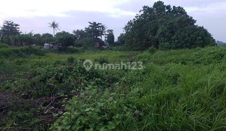 Hot List Di Jual Tanah Loss Pantai Purnama View Laut Lokasi Dekat Ketewel Sukawati Gianyar 2