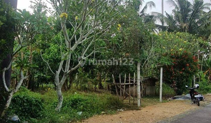 Pasti Closing Di Jual Tanah Lokasi Blumbungan Sibang Kaja Abiansemal Badung
 2