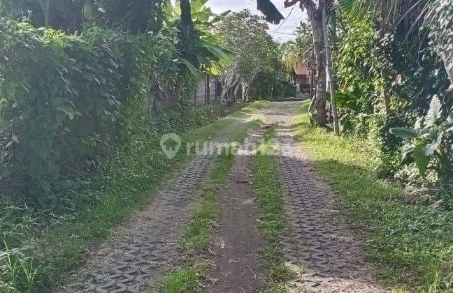 TOP URGENT DI JUAL TANAH LOKASI NYANYI BERABAN KEDIRI TABANAN 2