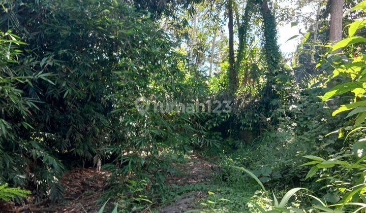 TOP URGENT LAND FOR SALE LOCATION CEPAKA KEDIRI TABANAN 1