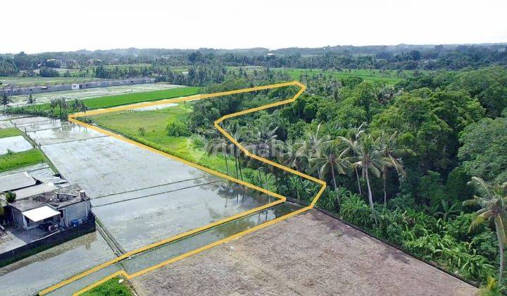 TOP URGENT LAND FOR SALE IN GUBUG YEH GANGGA TABANAN LOCATION 1