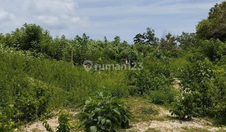 TOP URGENT DI JUAL TANAH LOKASI KARANG PUTIH KUTUH KUTA SELATAN BADUNG 2