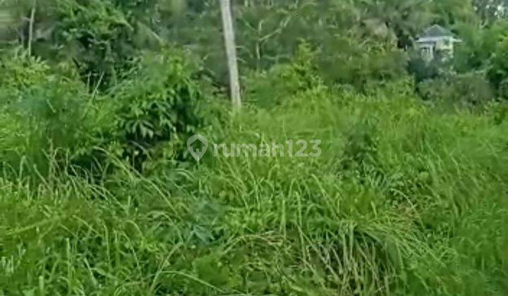 TOP URGENT DI JUAL TANAH LOKASI PITU SIBANG KAJA ABIANSEMAL BADUNG 2