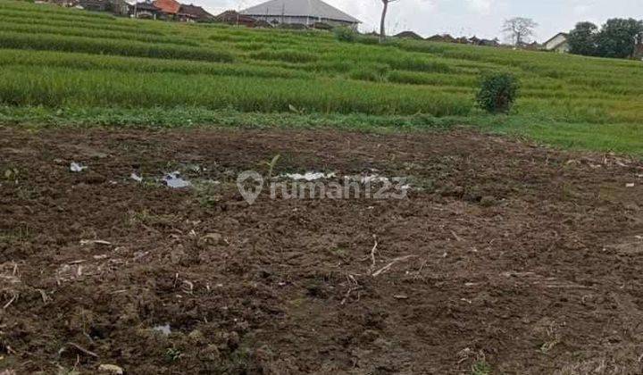 TOP URGENT LAND FOR SALE TANAH LOT BERABAN TABANAN LOCATION
 1