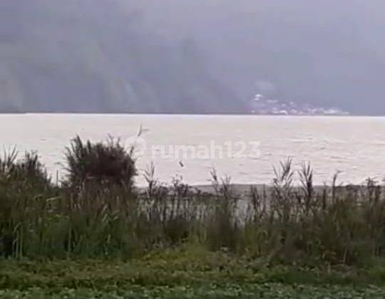 TOP URGENT DI JUAL TANAH LOSS DANAU BATUR VIEW HUTAN LOKASI SONGAN KINTAMANI
 1